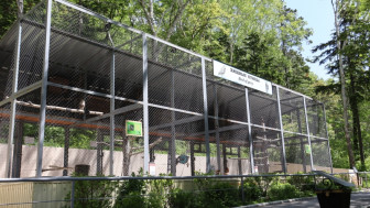 Вольер мелких хищных птиц.