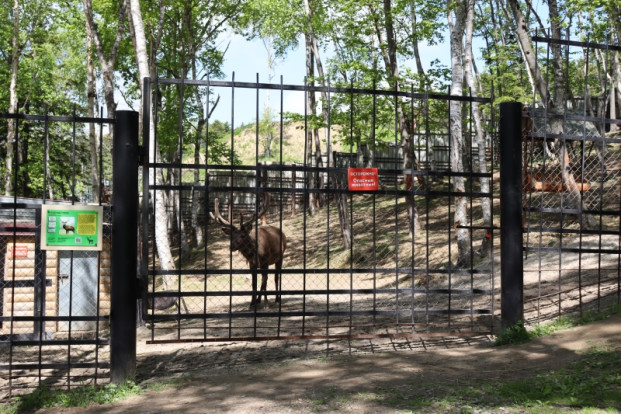 Вольер оленей 1.
