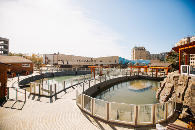 Водоём водоплавающей птицы 1.
