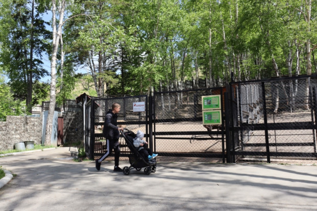 Вольер оленей 2.
